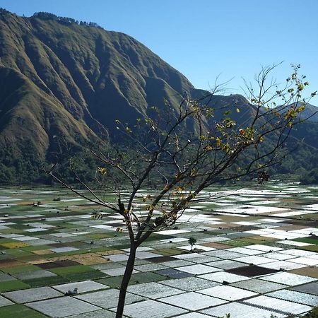Rinjani Green Park Syariah Hotel Sembalunlawang Exterior photo